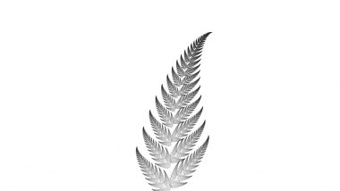 software_fern_image01
